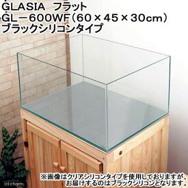 GLASIA　フラット　GL－600WF（60×45×30cm）ブラックシリコンタイプ　お一人様1点限り　60cm水槽【HLS_DU】　関東当日便