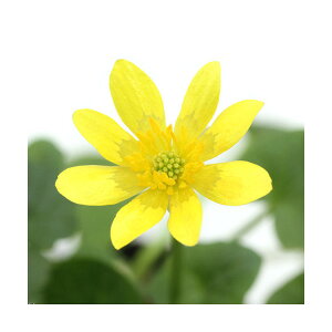 iR쑐jqELJiPԁjn@2D5`3i1|bgjixԁj