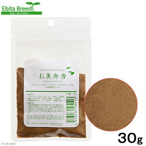 Ebita@Breed@Gr^u[h@^WϏ܋p@ٓ@30g@֓