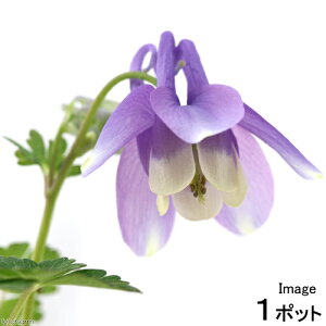 iR쑐j~}I_}Li[Rj@3i1|bgjixԁj