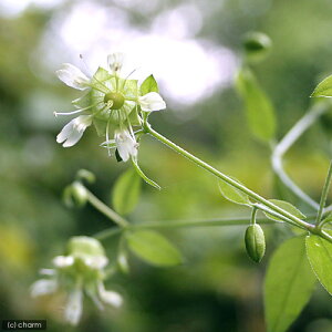 iR쑐jionRxi؃nRx@cZmEj@3i1|bgjixԁj