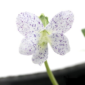 iR쑐jX~i俁jrIE\A@tbNX@2D5`3i1|bgjixԁj