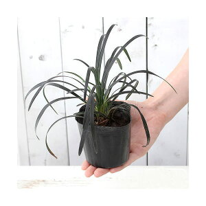 iR쑐jEmqQ@@3i1|bgjixԁj