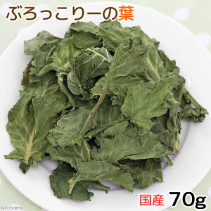 Y@ubR[̗t@70g@̂@@nX^[@Y@F@֓