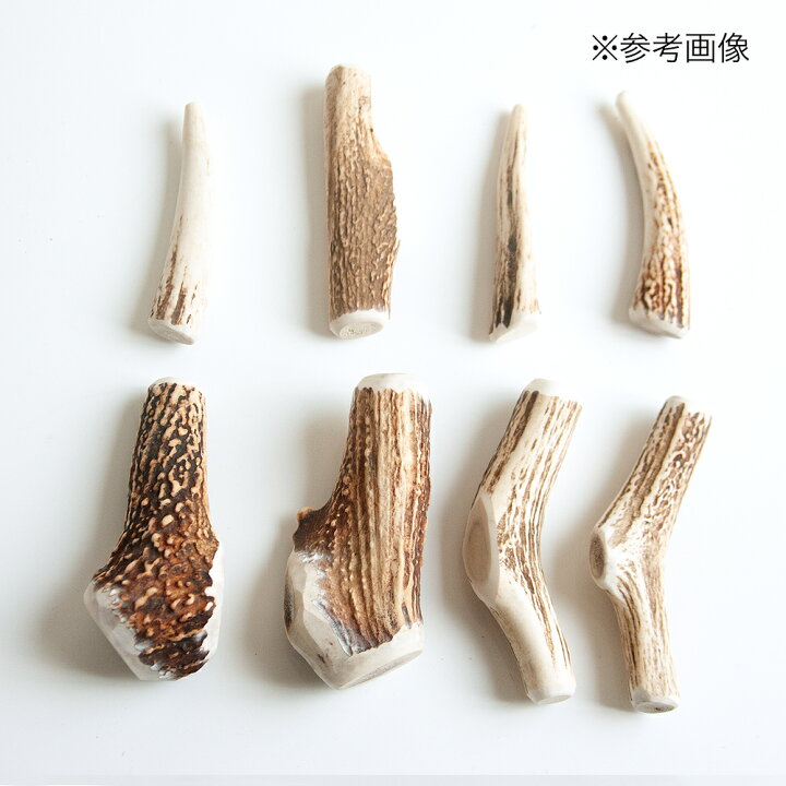 楽天市場】中型犬用 鹿の角 Mサイズ 1本 (長さ10〜14cm以下) 小型犬 中型犬 犬 おもちゃ デンタルケア 鹿角 国産 関東当日便 : charm 楽天市場店 楽天市場】中型犬用 鹿の角 Mサイズ 1本 (長さ10〜14cm以下) 小型犬 中型犬 犬 おもちゃ デンタルケア 鹿角 国産 関東当日便 : charm 楽天市場店