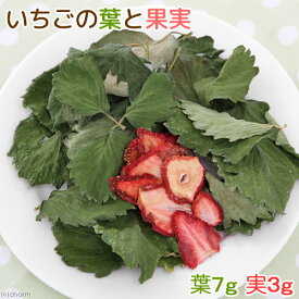 【8／15限定】当選確率2分の1！1等最大100％　国産　いちごの葉と果実　10g　小動物のおやつ　うさぎ　ハムスター　無添加　無着色