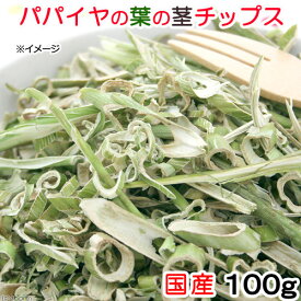 国産　パパイヤの葉の茎チップス　100g　小動物のおやつ　ドライ野菜　うさぎ　ハムスター　関東当日便
