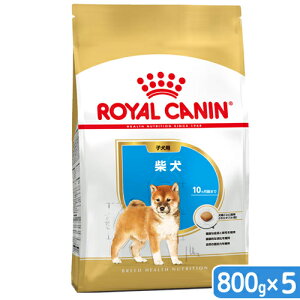 CJi@Č@qp@800g×5܁@3182550823937@Wbvt@ll2_@֓