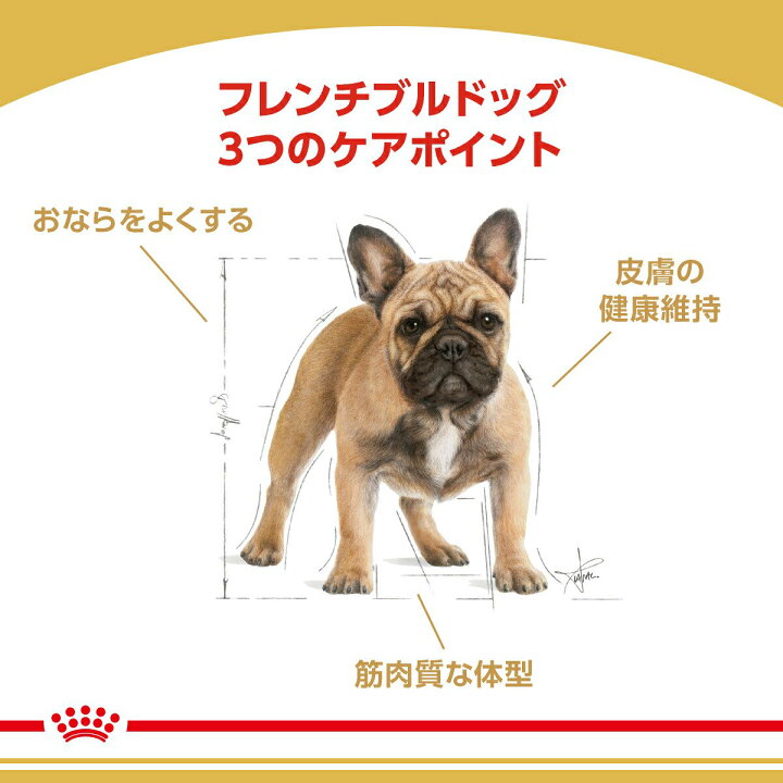 楽天市場】ロイヤルカナン フレンチブルドッグ 成犬・高齢犬用 3kg 