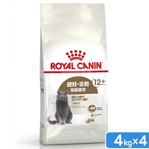 CJi@L@GCWO@XeACYh@12{@4kg×4܁@3182550805407@Wbvt@֓