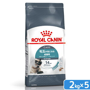 CJi@L@wA{[@PA@ыʂCɂȂ鐬Lp@12ȏ@2kg×5܁@WbvtiLbgt[h@hCj