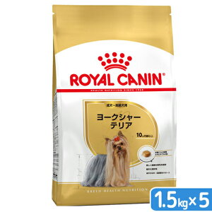 y12^1zIm21I1ő100@CJi@[NV[eA@Ep@1D5kg×5܁@Wbvt@ll1_