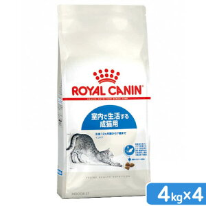 CJi@L@ChA@Ő鐬Lp@127΂܂Ł@4kg×4܁@WbvtiLbgt[h@hCj@֓