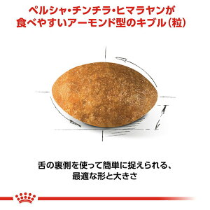 楽天市場 ロイヤルカナン 猫 ペルシャ チンチラ ヒマラヤン 成猫用 生後１２ヵ月齢から１２歳まで ２ｋｇ ５袋 ジップ付 沖縄別途送料 関東当日便 Charm 楽天市場店