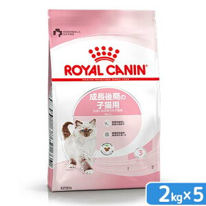 CJi@qL@Lg@̎qLp@12܂Ł@2kg×5܁@Wbvt@Lbgt[h@hC@֓