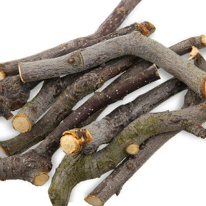 ����؁@�ׁ@10�{1�g�@�i���^�����p�j�@�]�|�h�~�@�֓�������