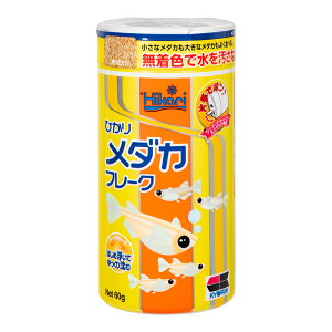 L[@Ђ@_Jt[N@60g@_J̉a@ll72_@֓