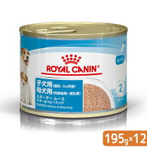 楽天市場】ロイヤルカナン ミディアムスターター マザー＆ベビードッグ 