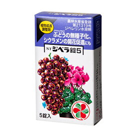 住友化学園芸　STジベラ錠5　5錠入　ぶどうの無種子化　草花の生育促進に　関東当日便