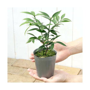 iϗtAjiMi@|j@3`3D5i1|bgj