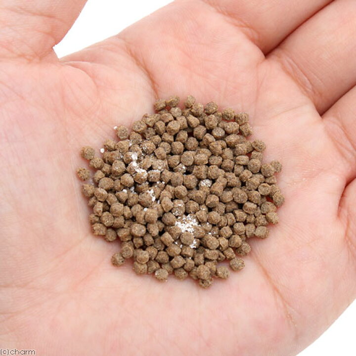 ｂ ｂｌａｓｔ 究極の餌 コリドラス ２０ｇ 激安通販販売