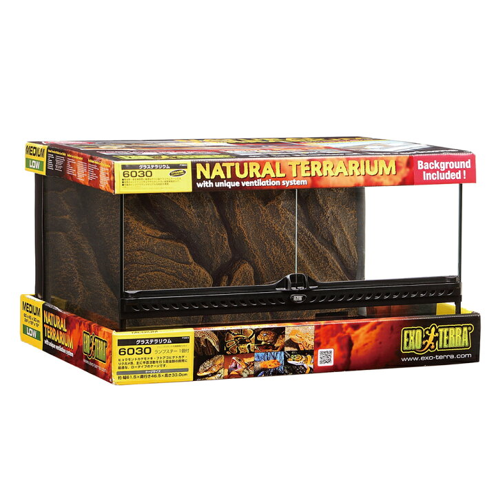 楽天市場】爬虫類ケージ GEX エキゾテラ グラステラリウム 6030  