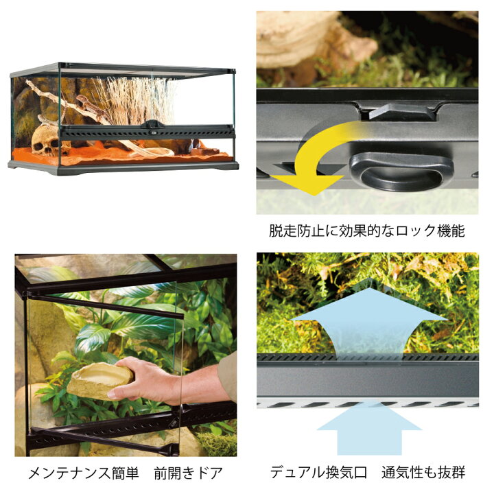 楽天市場】爬虫類ケージ GEX エキゾテラ グラステラリウム 6030 
