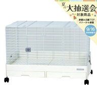 うさぎケージ　三晃商会　イージーホーム・エボ80　WH（ホワイト）（81×50．5×55cm）　うさぎ　ケージ…