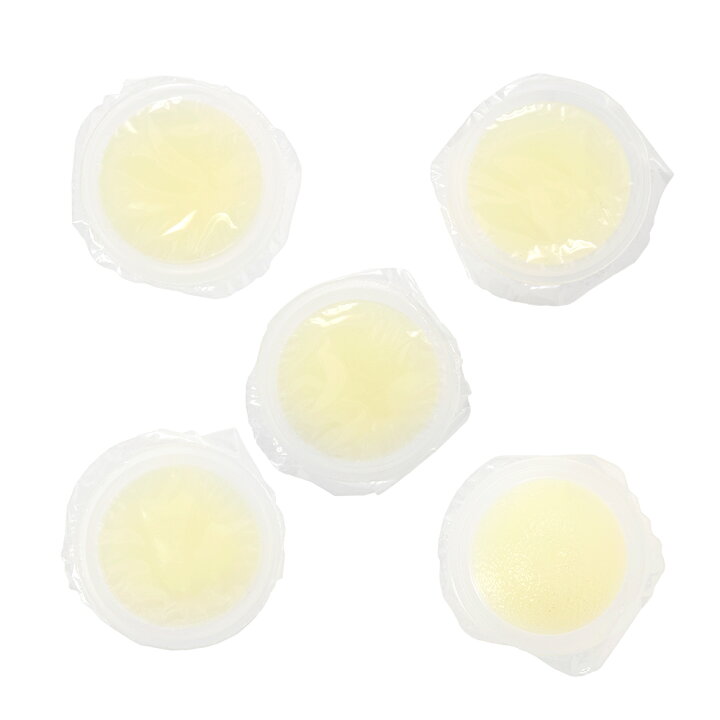 楽天市場 昆虫ゼリー お試しすこやかゼリー １６ｇ ５個入り カブトムシ クワガタ スズムシ用 関東当日便 Charm 楽天市場店