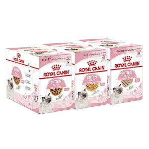 CJi@qL@̎qLp@Hה׃Zbg@3e12܁@v36܁@ll5_@֓