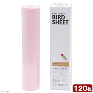 nbs[zfC@pV[c@120@sN@֓