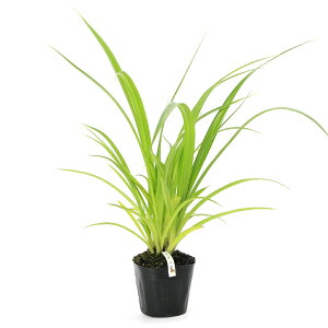 iϗtAjybg[t@A_̕c@3`4i_ji3|bgj@IJhJ