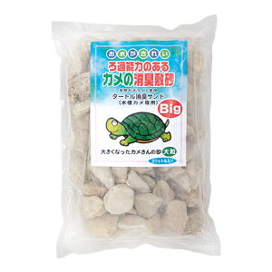 ^[gLThBIG@3bg@T@L@[ICg@֓