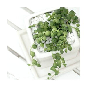 iϗtAjO[lbNX@픫A@_CXSi1j@Mt@΁@A@@@v[g