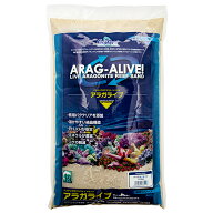 カミハタ　カリブシー　アラガライブ　バハマオーライト　20lbs（約9．07kg）　お一人様2点限り　関東当…