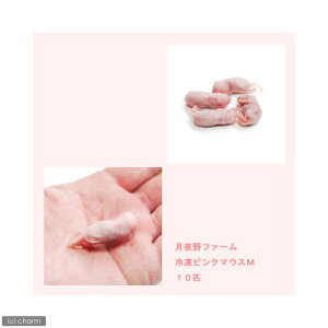 冷凍★M 月夜野ファーム 冷凍ピンクマウス(10匹) 冷凍マウス 別途クール手数料 常温商品同梱不可