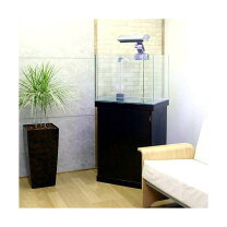 楽天市場】オーバーフロー 1200 ガラス水槽の通販