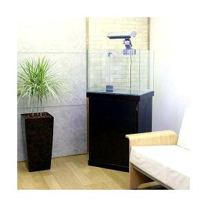 [J[@I[o[t[@IteB@I[o[t[LrZbg@600×450×450@ubN@s@ʓr