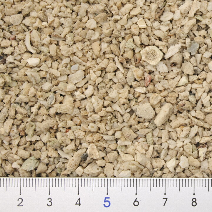 楽天市場】シンセー コーラルサンド 細目(3番) 5kg お一人様4点限り 関東当日便 : charm 楽天市場店 楽天市場】シンセー コーラルサンド 細目(3番) 5kg お一人様4点限り 関東当日便 : charm 楽天市場店