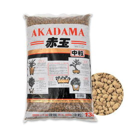 楽天市場 赤玉土の通販