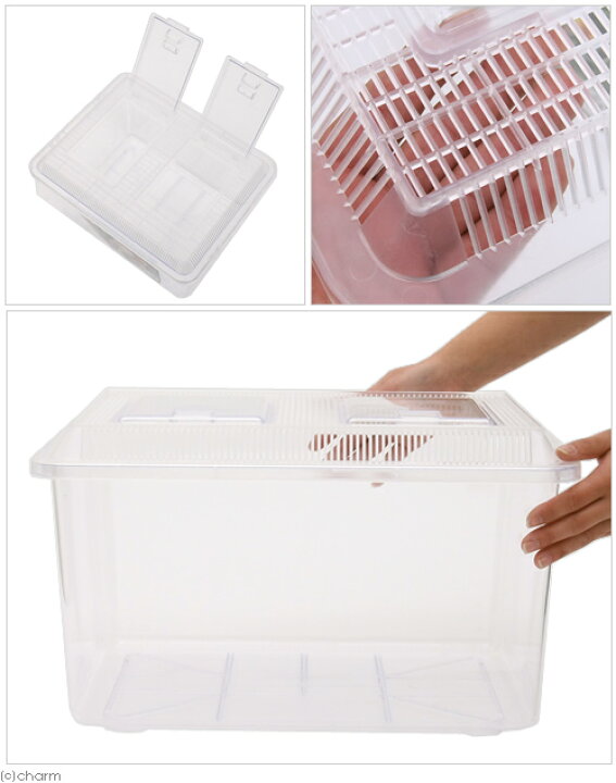 楽天市場 飼育容器 特大 クリア 幅４３ 奥行き３４ 高さ２６ｃｍ プラケース 虫かご 昆虫 メダカ ザリガニ 両生類 関東当日便 Charm 楽天市場店