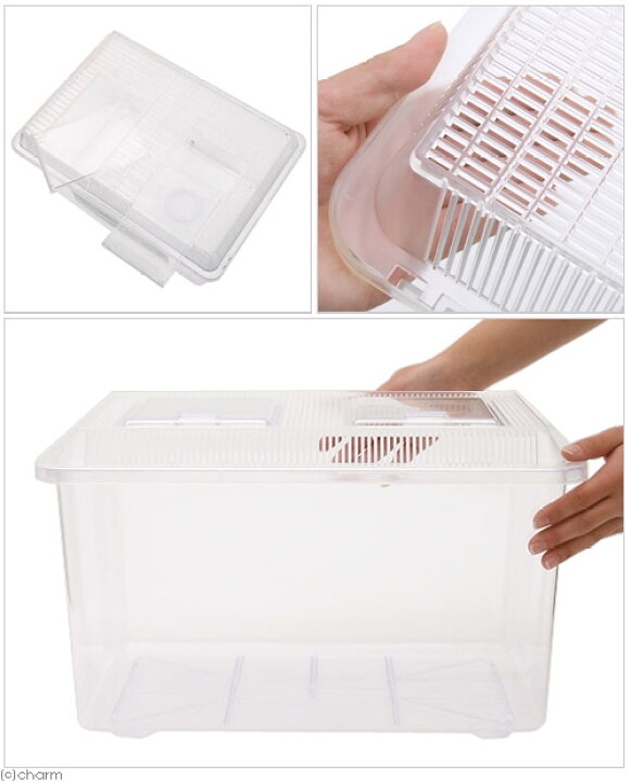 楽天市場 飼育容器 スーパー特大 クリア 幅５００ 奥行き３５５ 高さ３００ｍｍ プラケース 虫かご 昆虫 メダカ ザリガニ 両生類 お一人様５点限り 関東当日便 Charm 楽天市場店