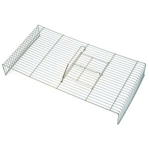 AEgbgi@HOEI@nX^[P[W@580HMSp@Vԁ@1@󂠂@֓