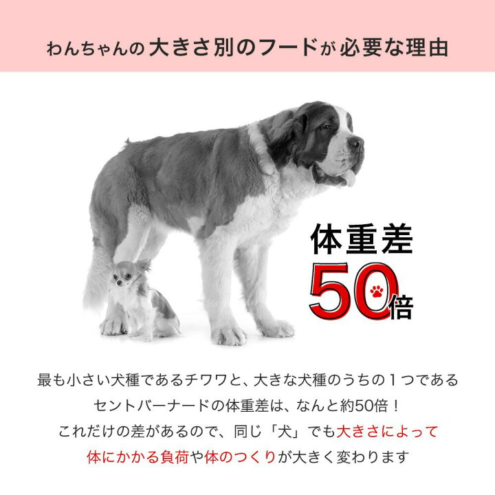 楽天市場】ロイヤルカナン マキシ エイジング 8＋ 高齢犬用 15kg 