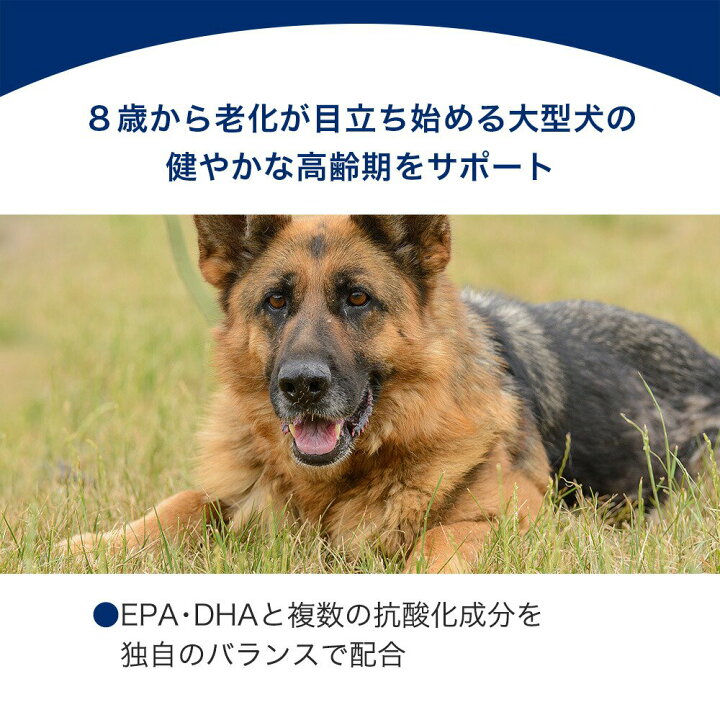 楽天市場】ロイヤルカナン マキシ エイジング 8＋ 高齢犬用 15kg 