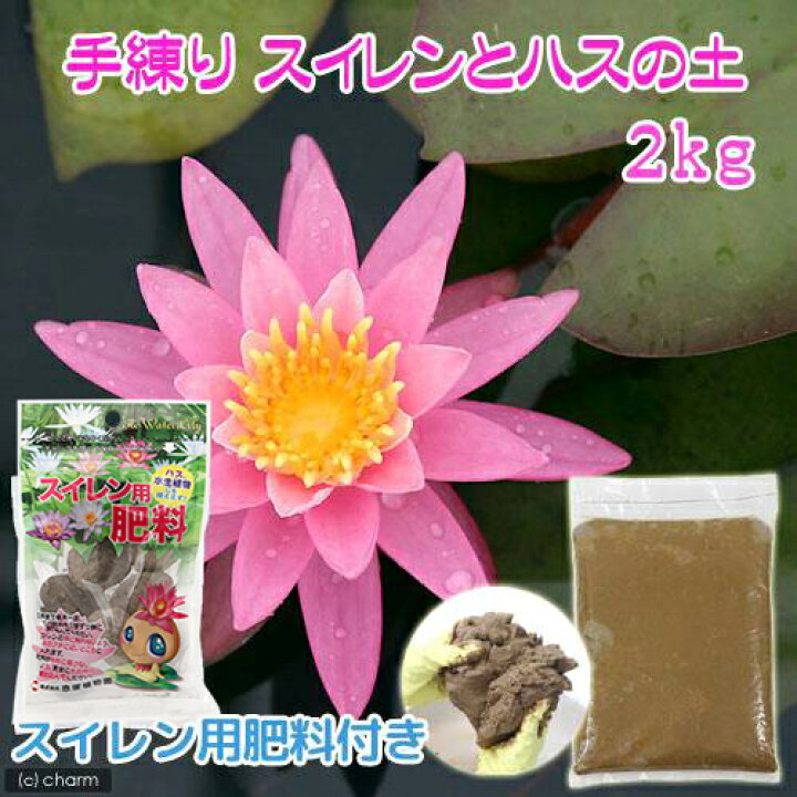 楽天市場 ビオトープ 水辺植物 スイレンとハスの土 スイレン用肥料付き Charm 楽天市場店