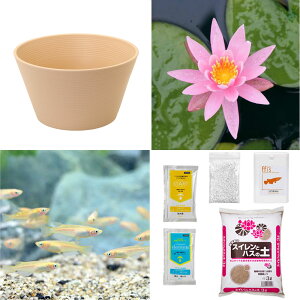 irIg[vji߂jSҌ@@ňĂ@_JZbgix[WjѐXC{Ђ߂6C@t@{Bl