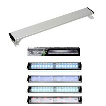 楽天市場】水槽 フィルター ledライト セットの通販
