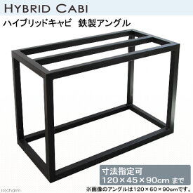 メーカー直送（受注生産）水槽台　ハイブリッドキャビ　鉄製アングル（寸法指定可120×45×90cmまで）（50角／T2．3）　同梱不可・別途送料