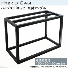 メーカー直送（受注生産）ハイブリッドキャビ　鉄製アングル（寸法指定可150×60×90cmまで）（50角／T2．3）同梱不可・別途送料